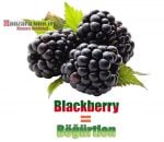 Böğürtlenin İngilizcesi (Blackberry)