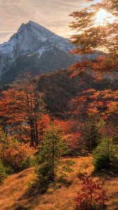 Dağlar ve Sonbahar Manzarası