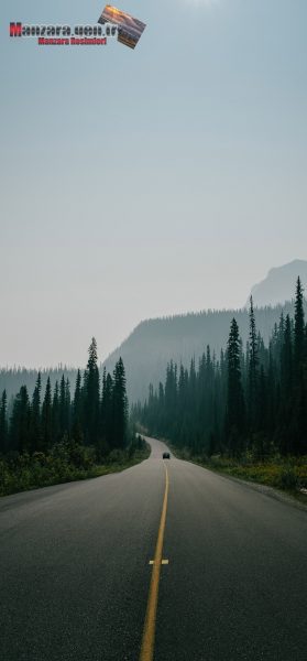 Dağların ve Ağaçların Arasından Süzülen Yol
