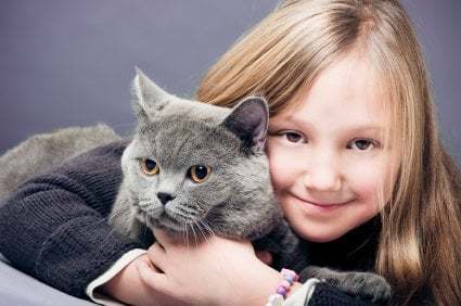 Kedilerin Farklı Halleri - Duman Rengi Kedi ve Çocuk
