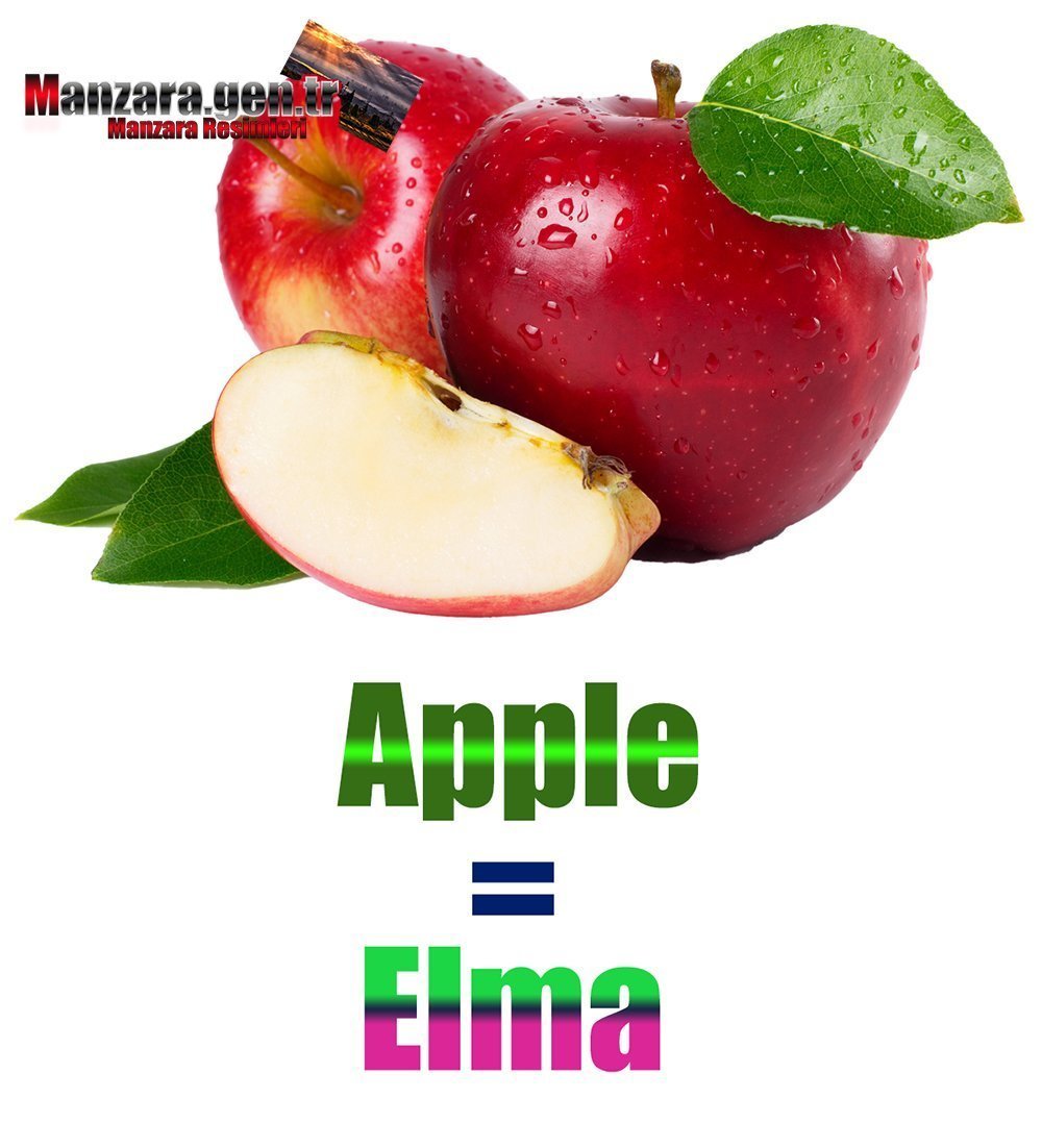 Elmanın İngilizcesi (Apple)