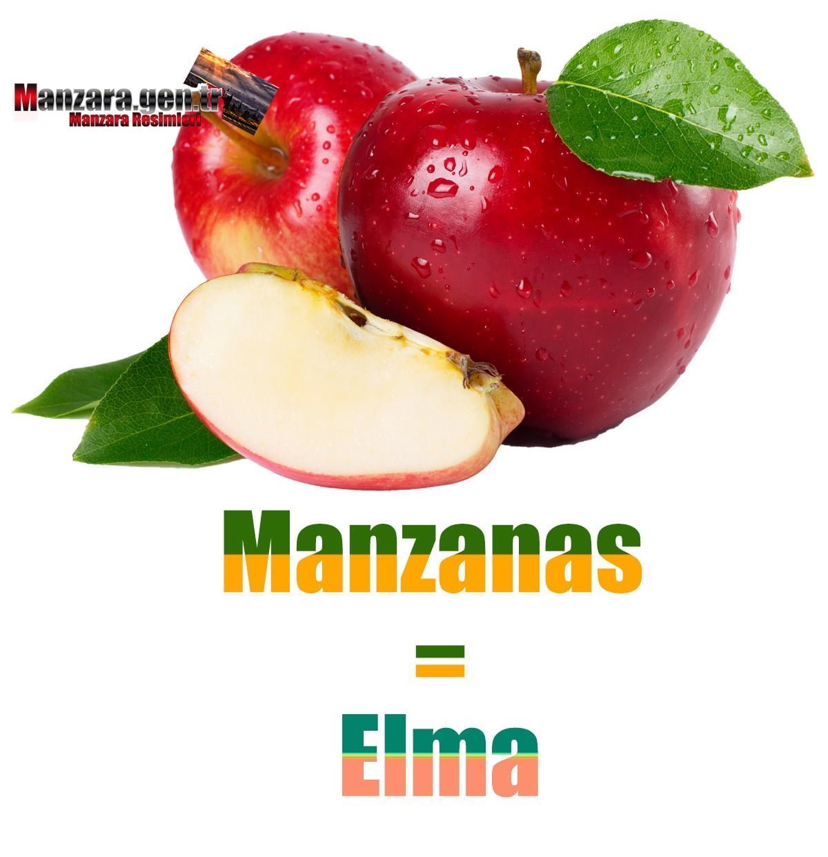 İspanyolca Meyve İsimleri - Elmanın İspanyolcası (Manzanas)