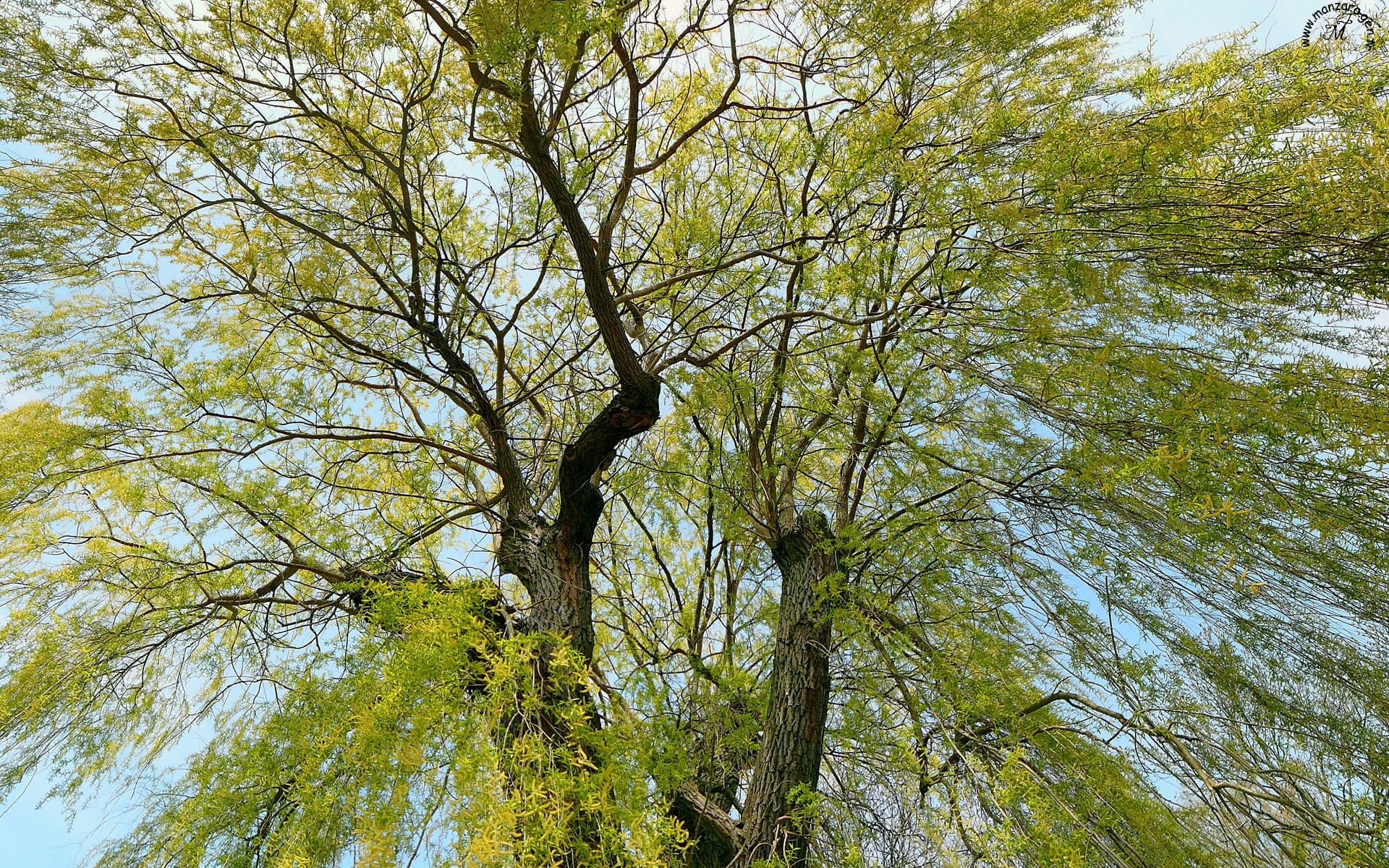 En Güzel Fotoğraflar - 10