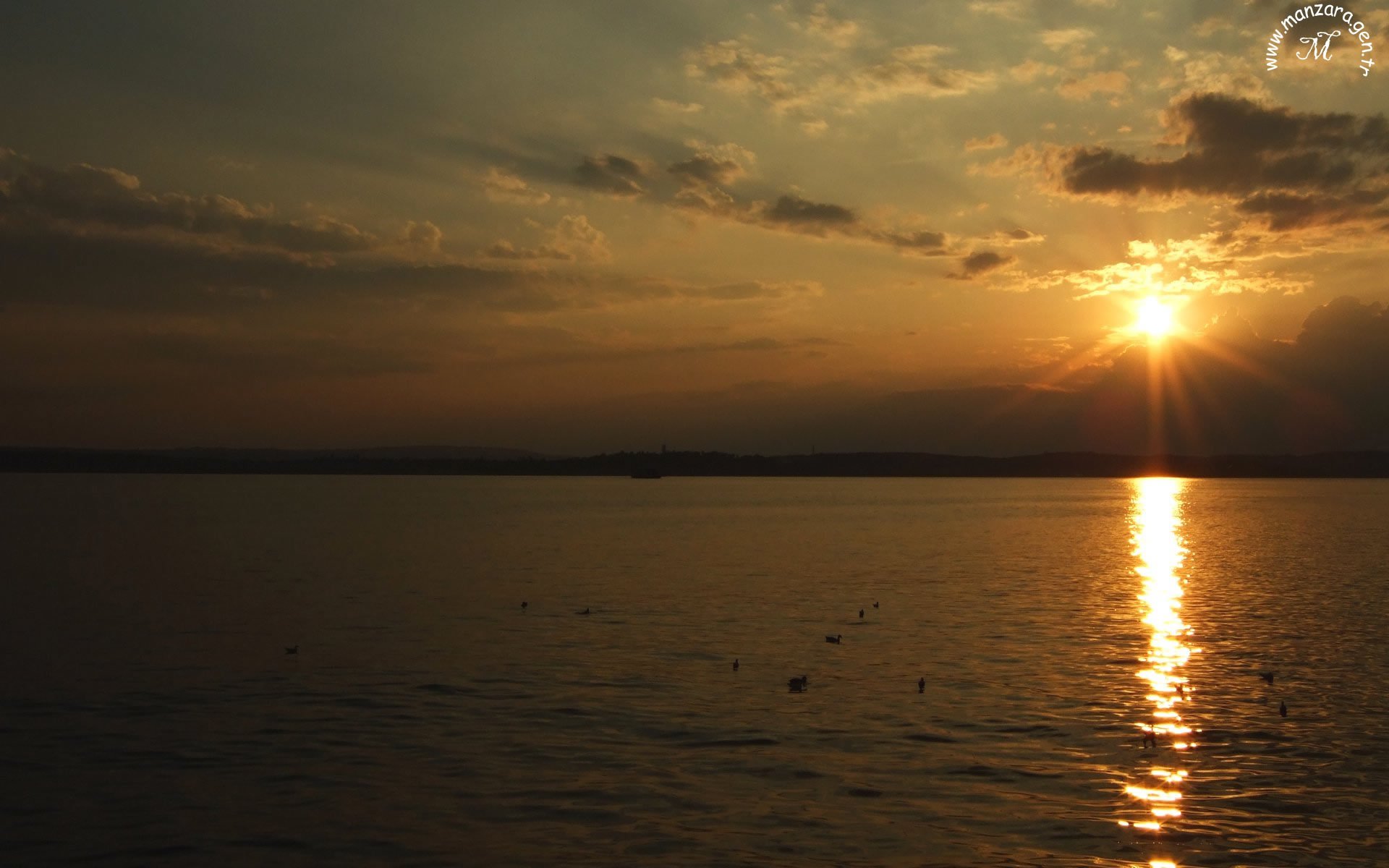 En Güzel Fotoğraflar - 7