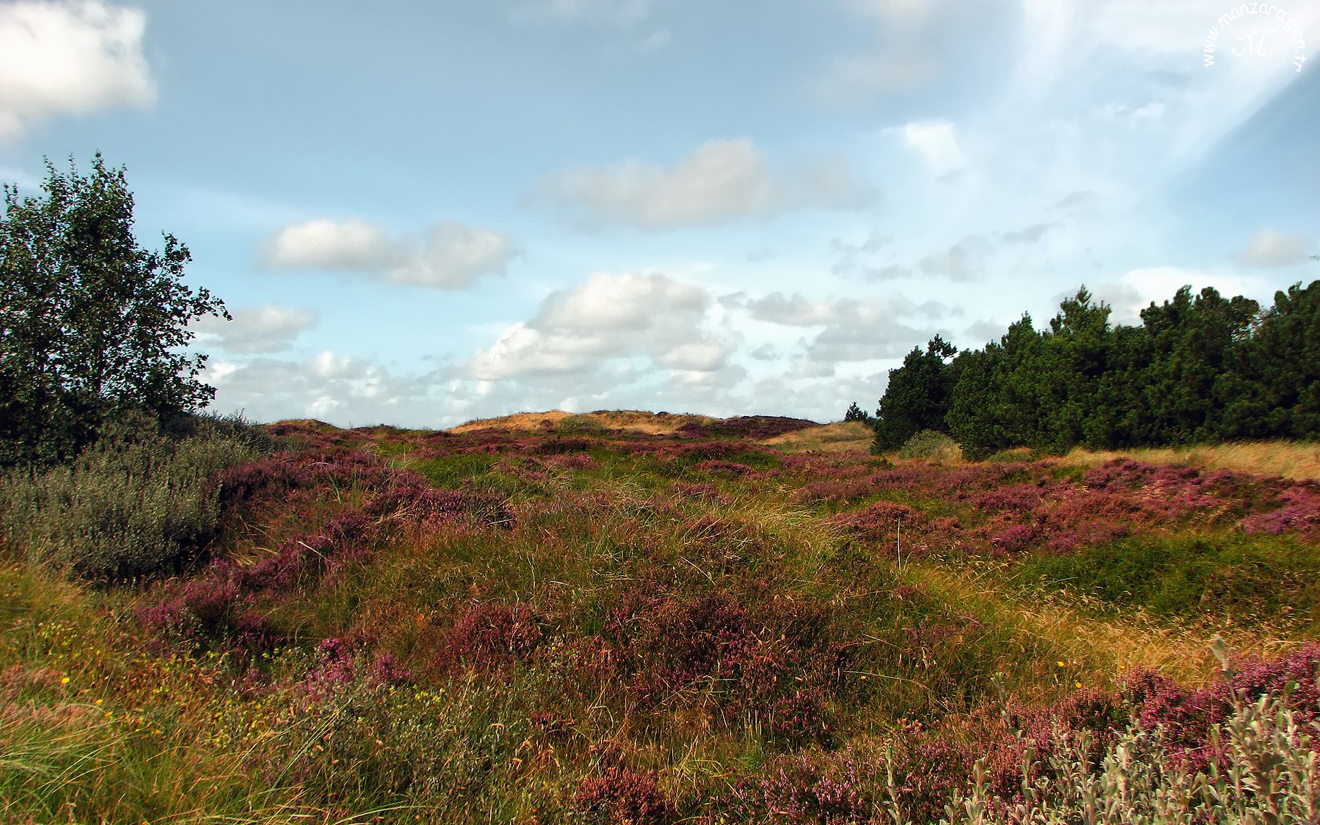 En Güzel Manzaralar - 5