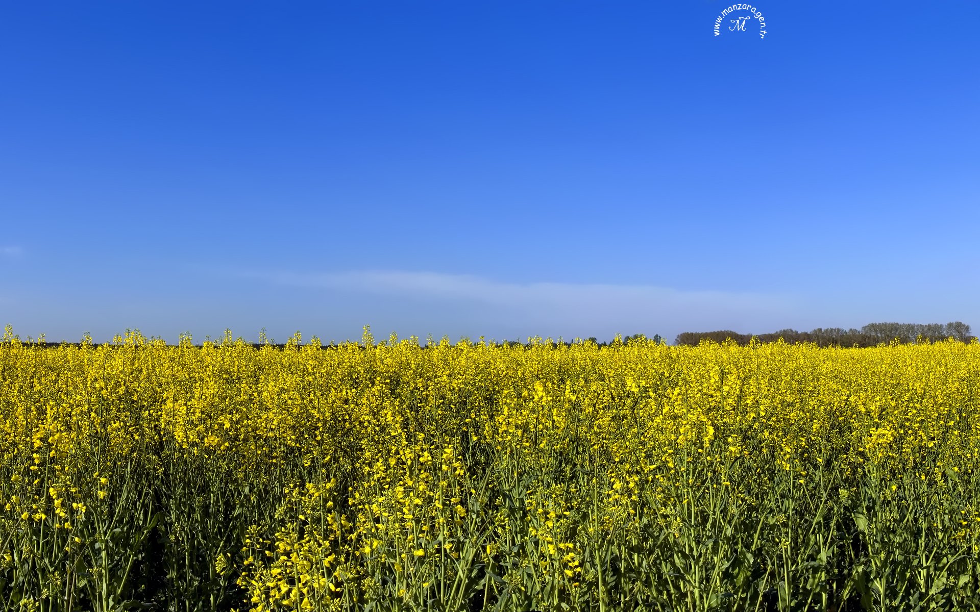 En Güzel Manzaralar - 8