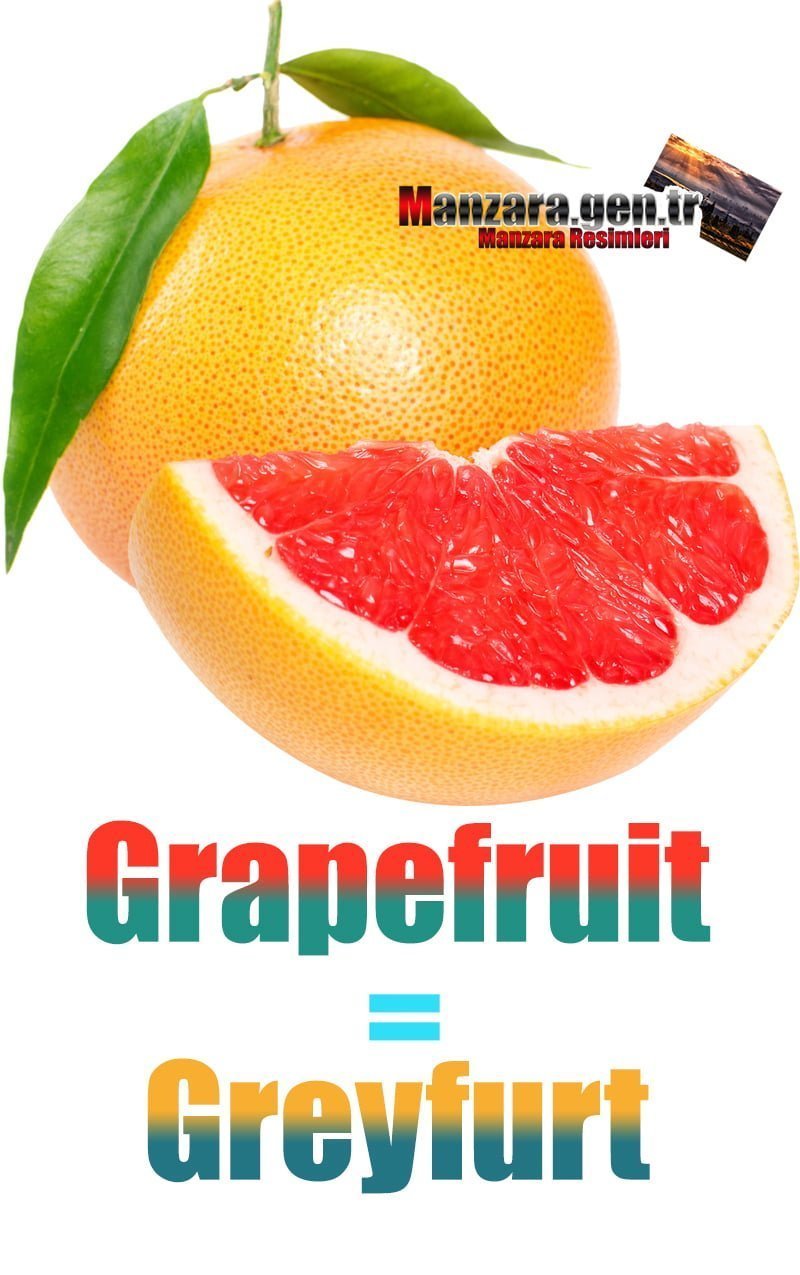 Greyfurt İngilizcesi (Grapefruit)