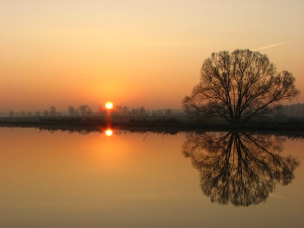 Güneş Ağaç ve Su