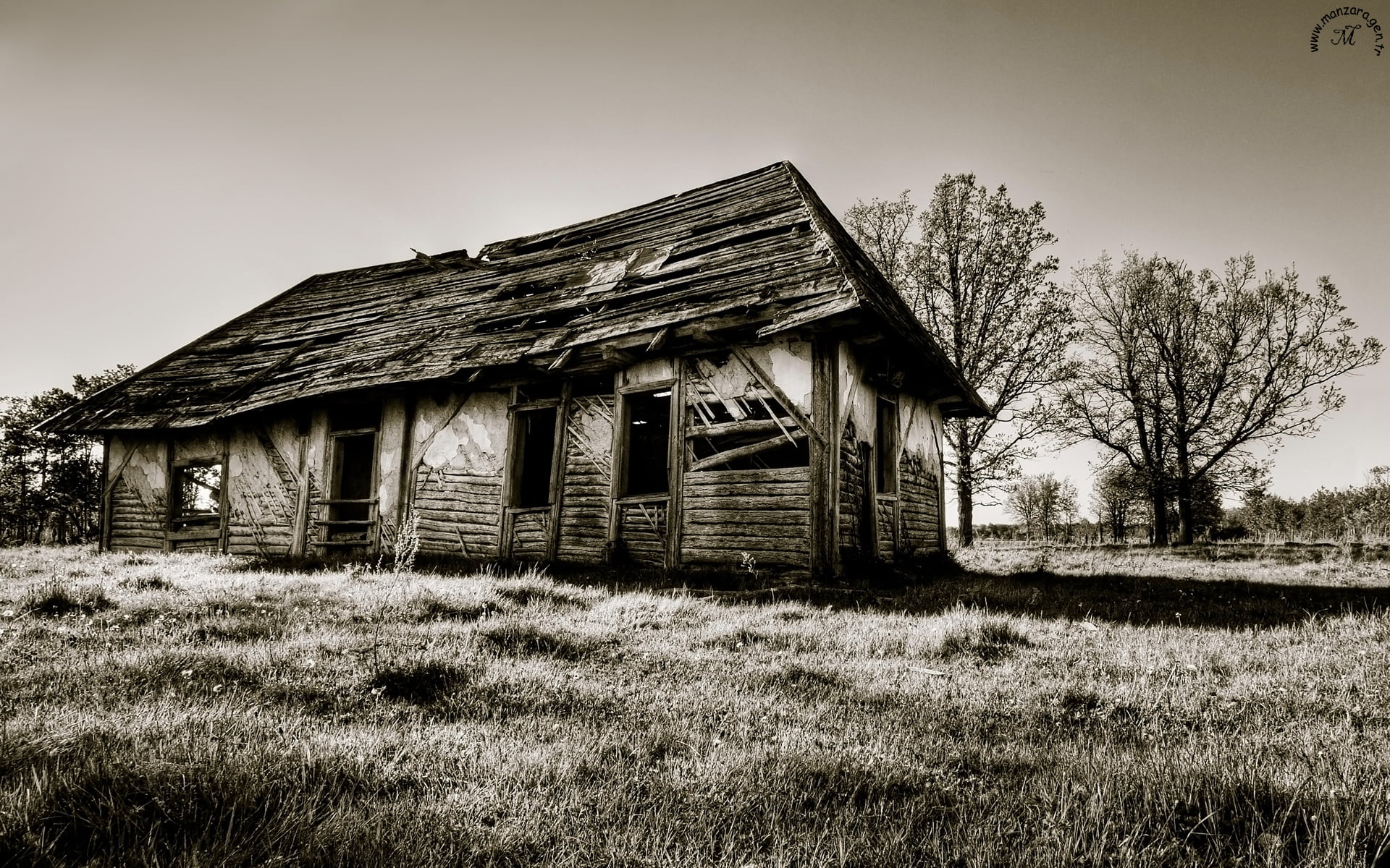 Güzel Fotoğraflar - 13