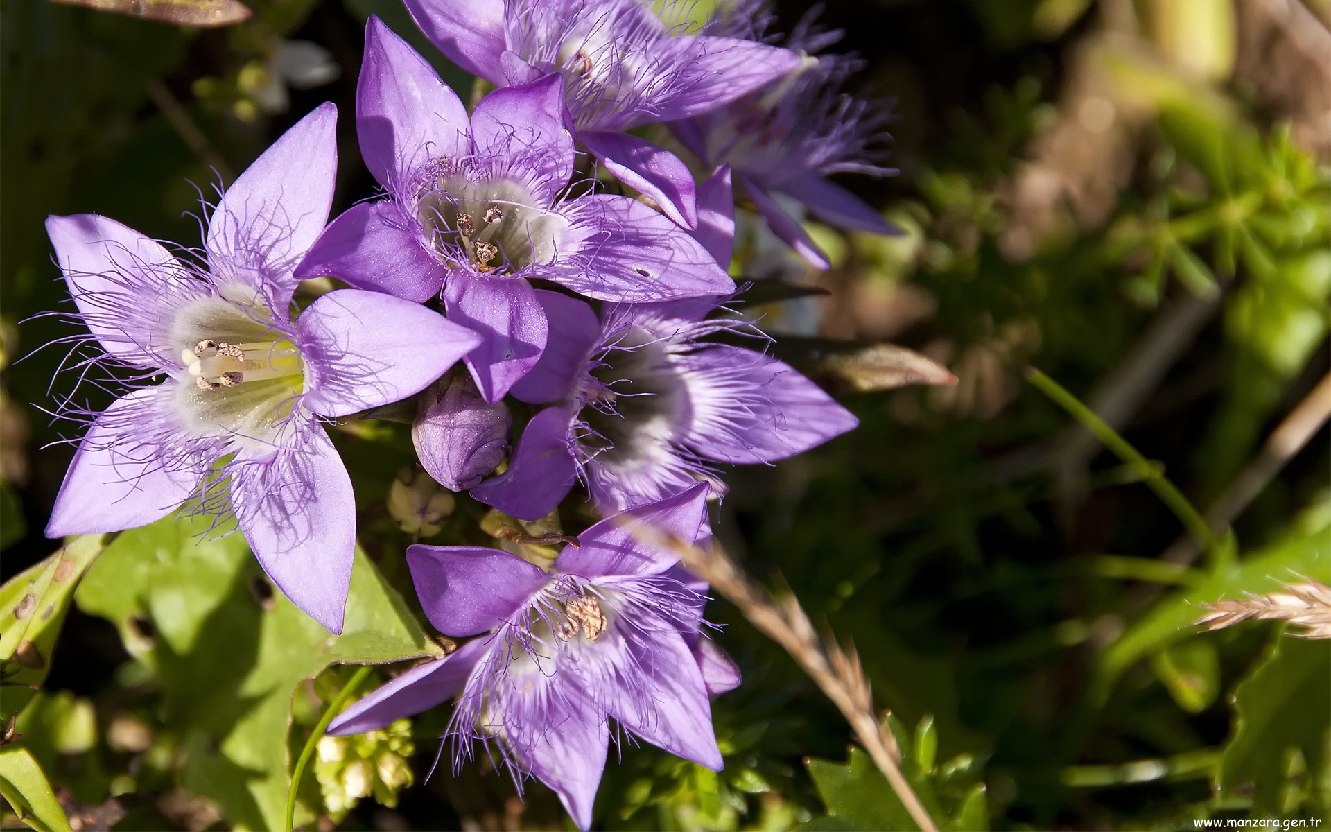 Güzel Fotoğraflar - 8