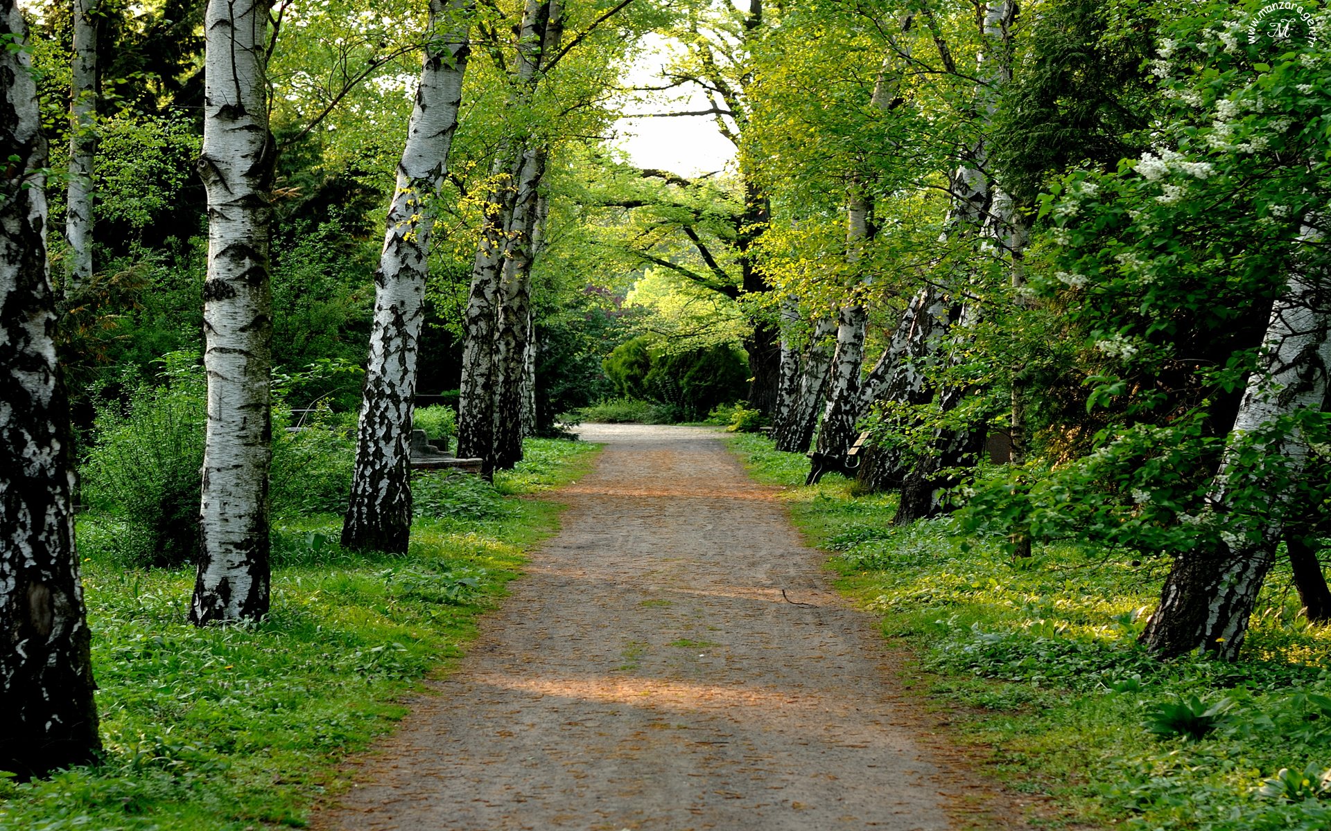 Güzel Manzaralar - 12