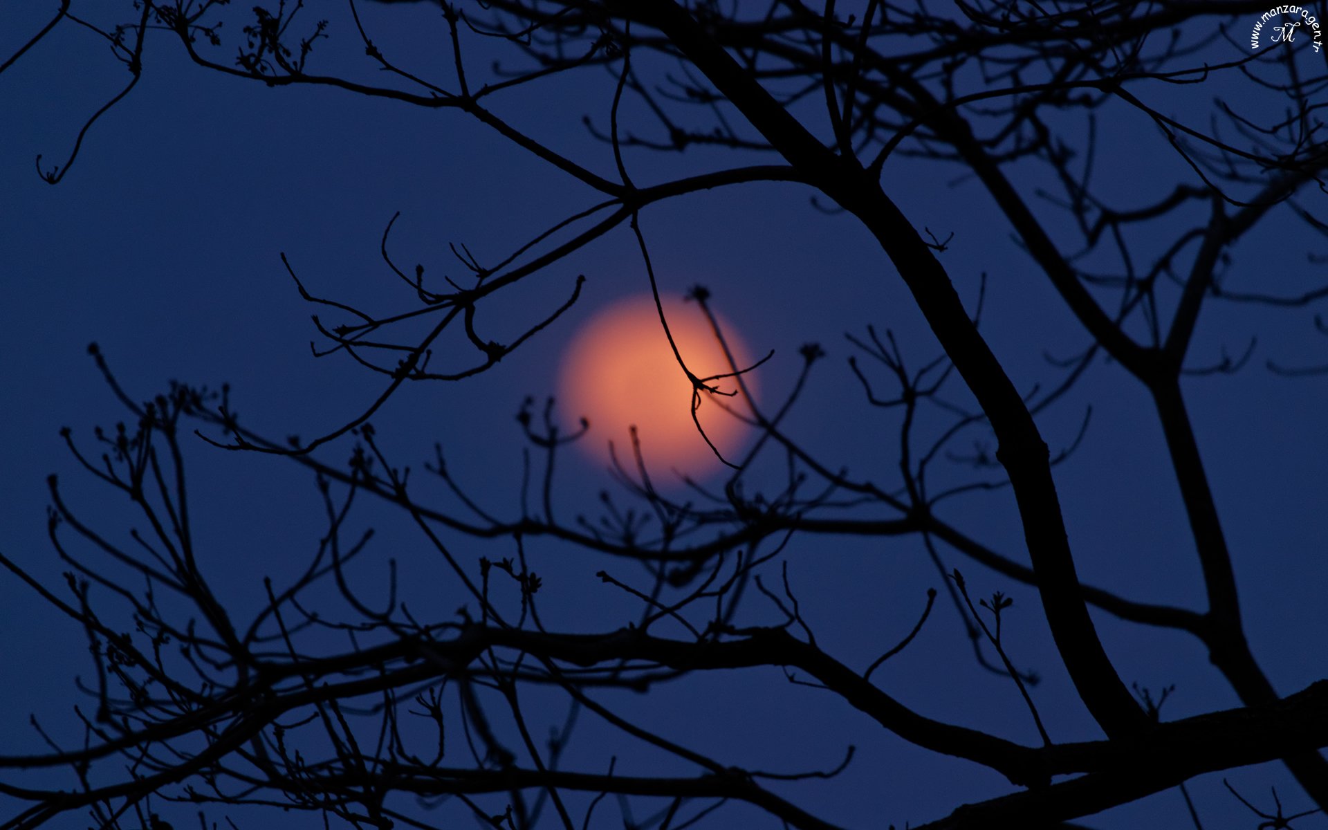 Güzel Manzaralar - 13