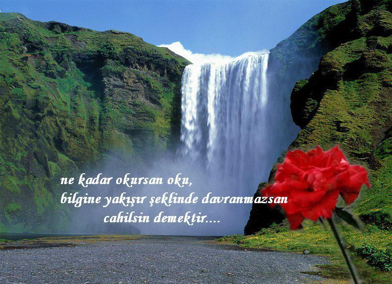 Güzel sözlü manzara resmi