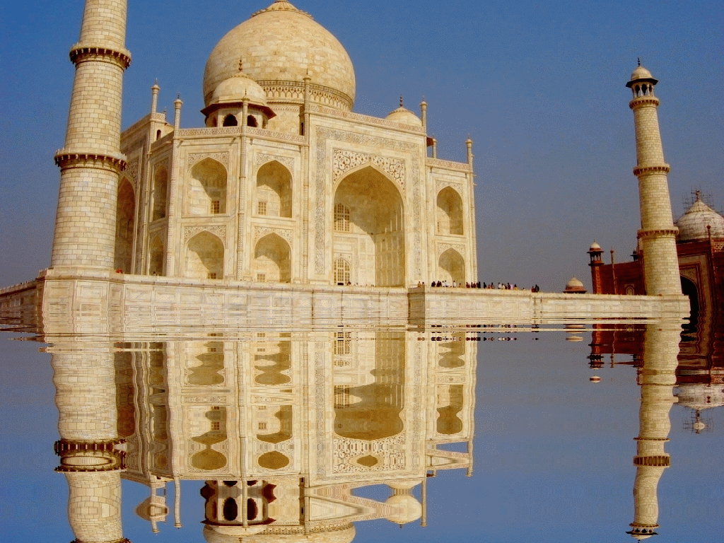 Hareketli Fotoğraflar