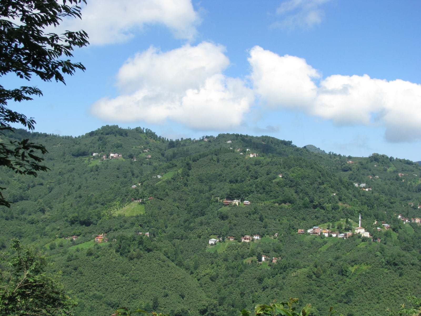 Karadenizde şirin bir köy