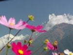 Karlı Çiçekli Dağlar