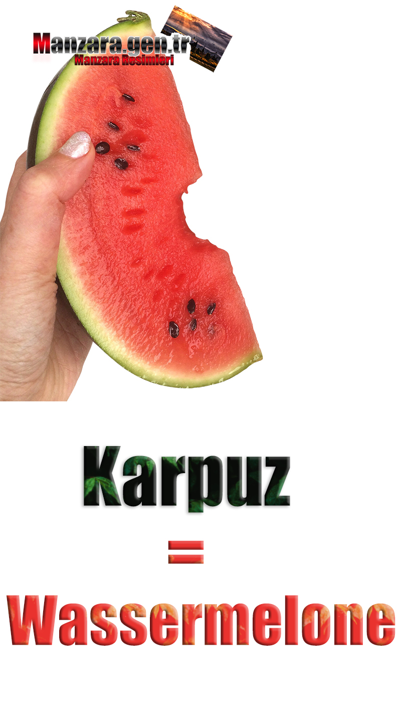 Karpuzun Almancası Nedir ? Karpuz Almanca Nasıl Yazılır ? Was ist Wassermelone Türkisch? Wie schreibe ich Wassermelone auf Türkisch?
