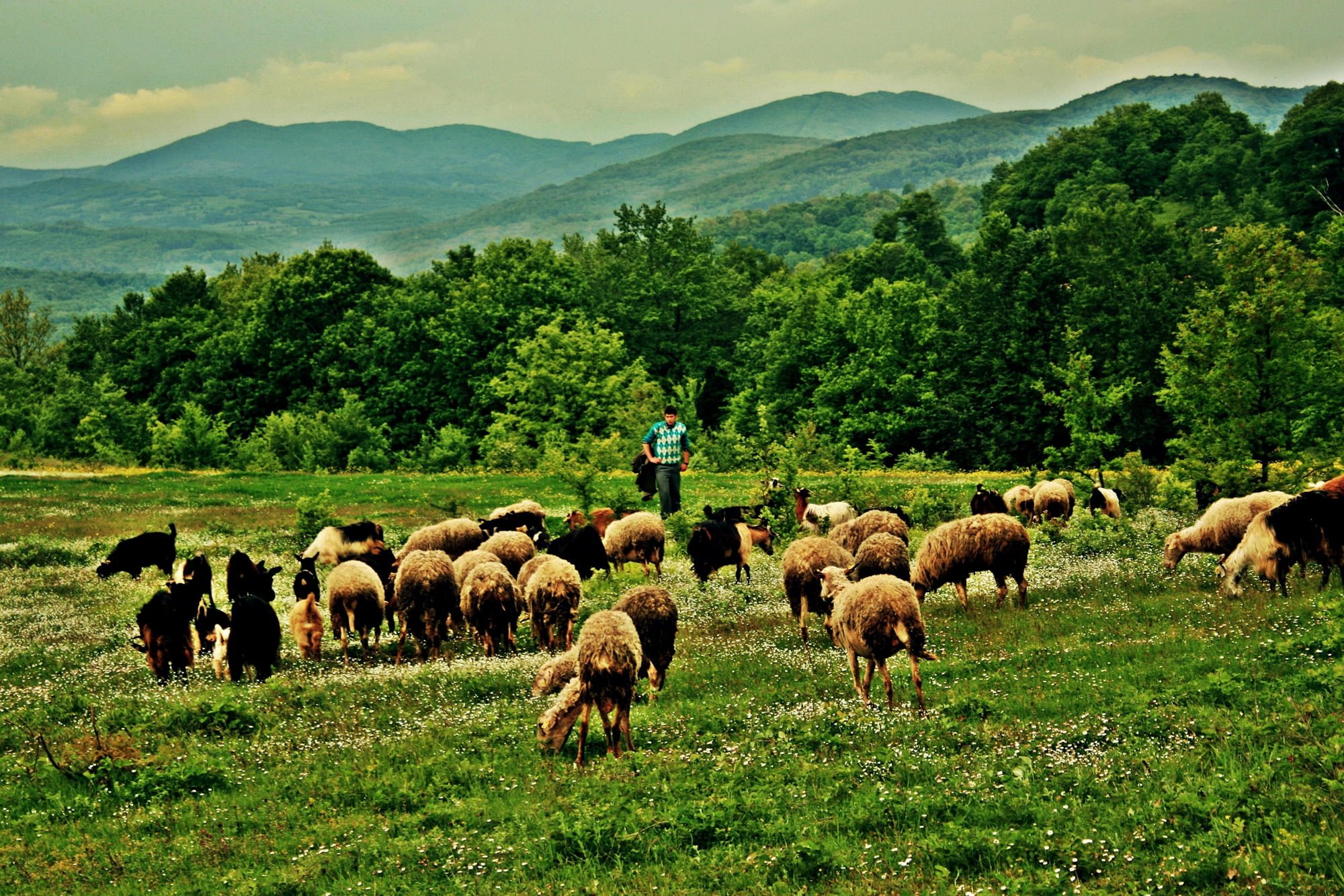 Kırklareli Resimleri