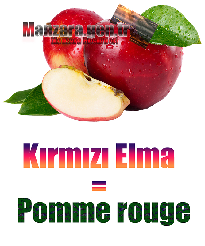 Kırmızı elmanın Fransızcası Nedir ? Kırmızı elma Fransızca Nasıl Yazılır ? Quel est le turc de pomme rouge ? Comment écrire la pomme rouge en turc?
