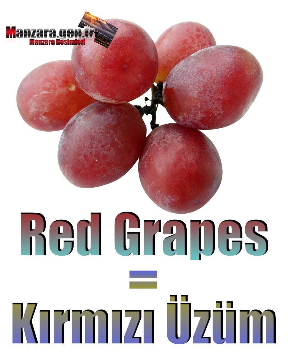 Kırmızı Üzümün İngilizcesi (Red Grapes)