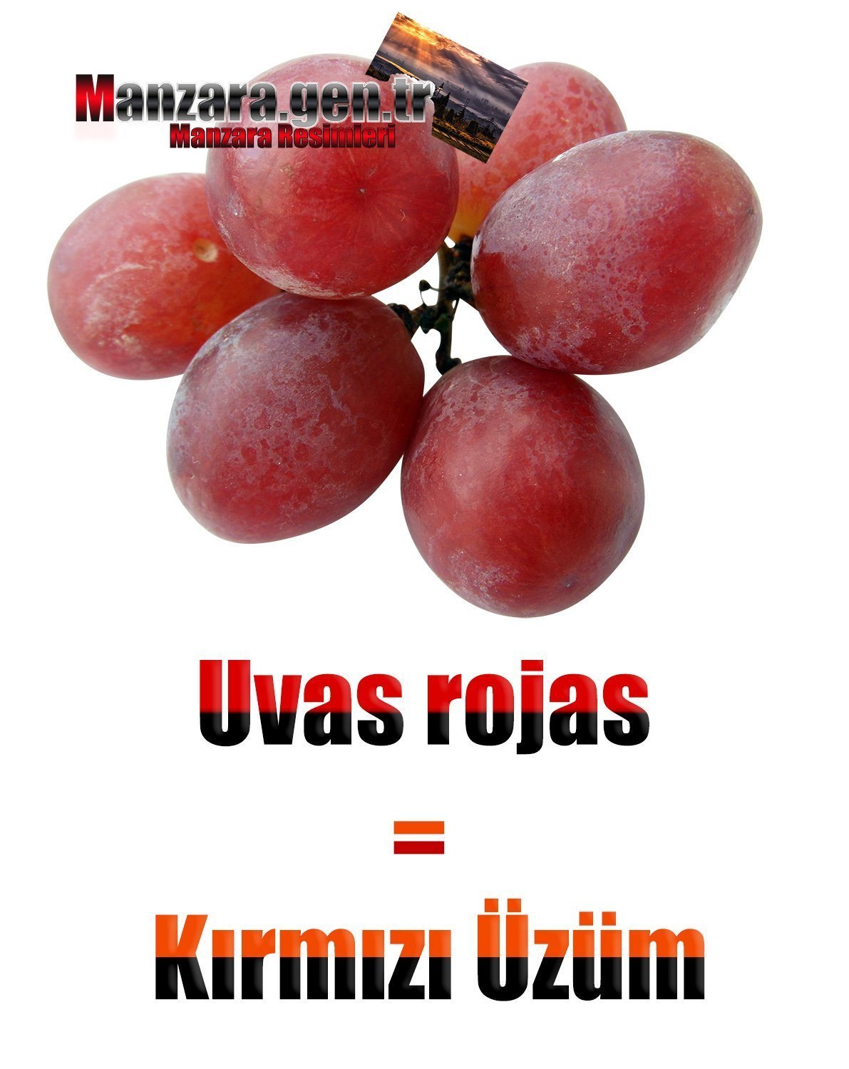 İspanyolca Meyve İsimleri - Kırmızı Üzümün İspanyolcası (Uvas rojas)