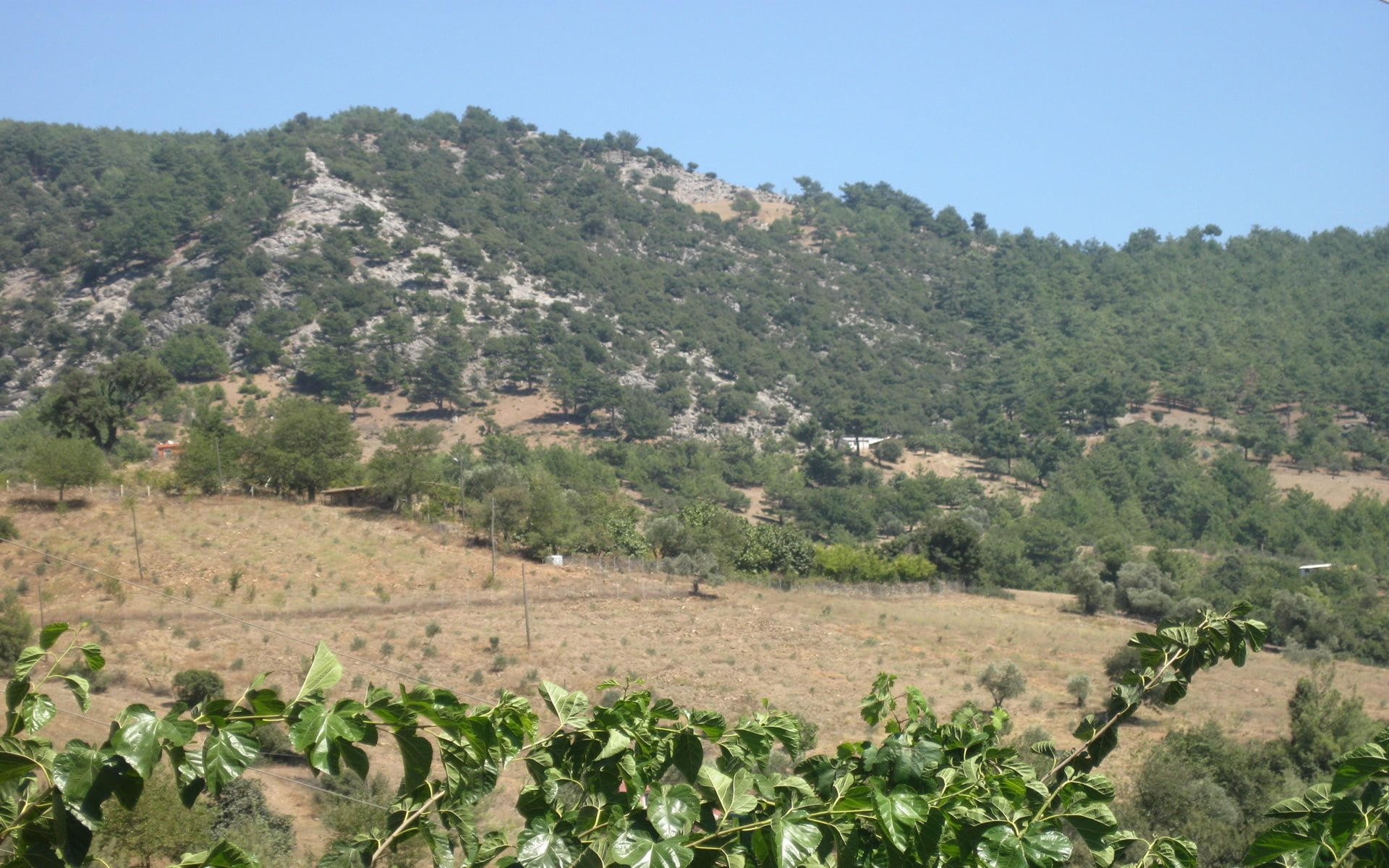 Kızlarsekisi Köyü