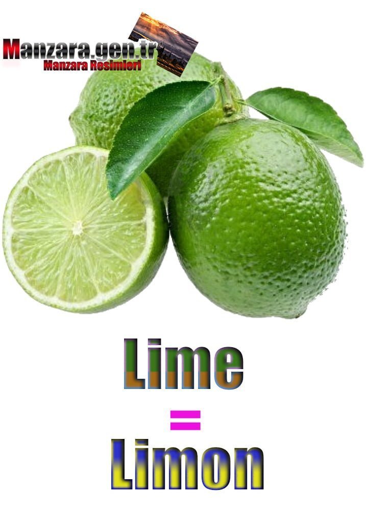 Limonun İngilizcesi (Lime)