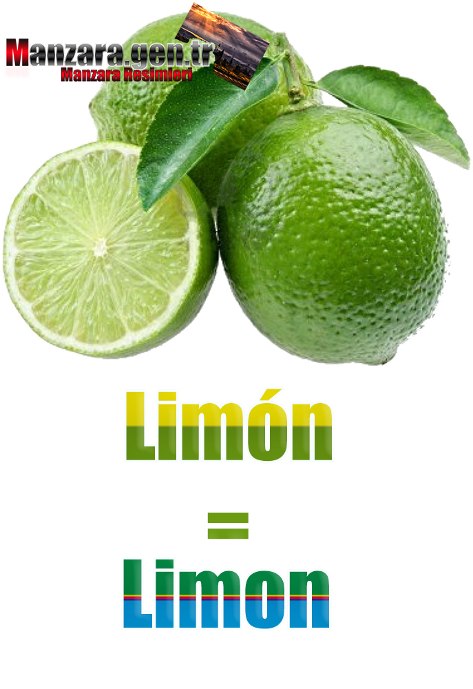 İspanyolca Meyve İsimleri - Limonun İspanyolcası (Limón)