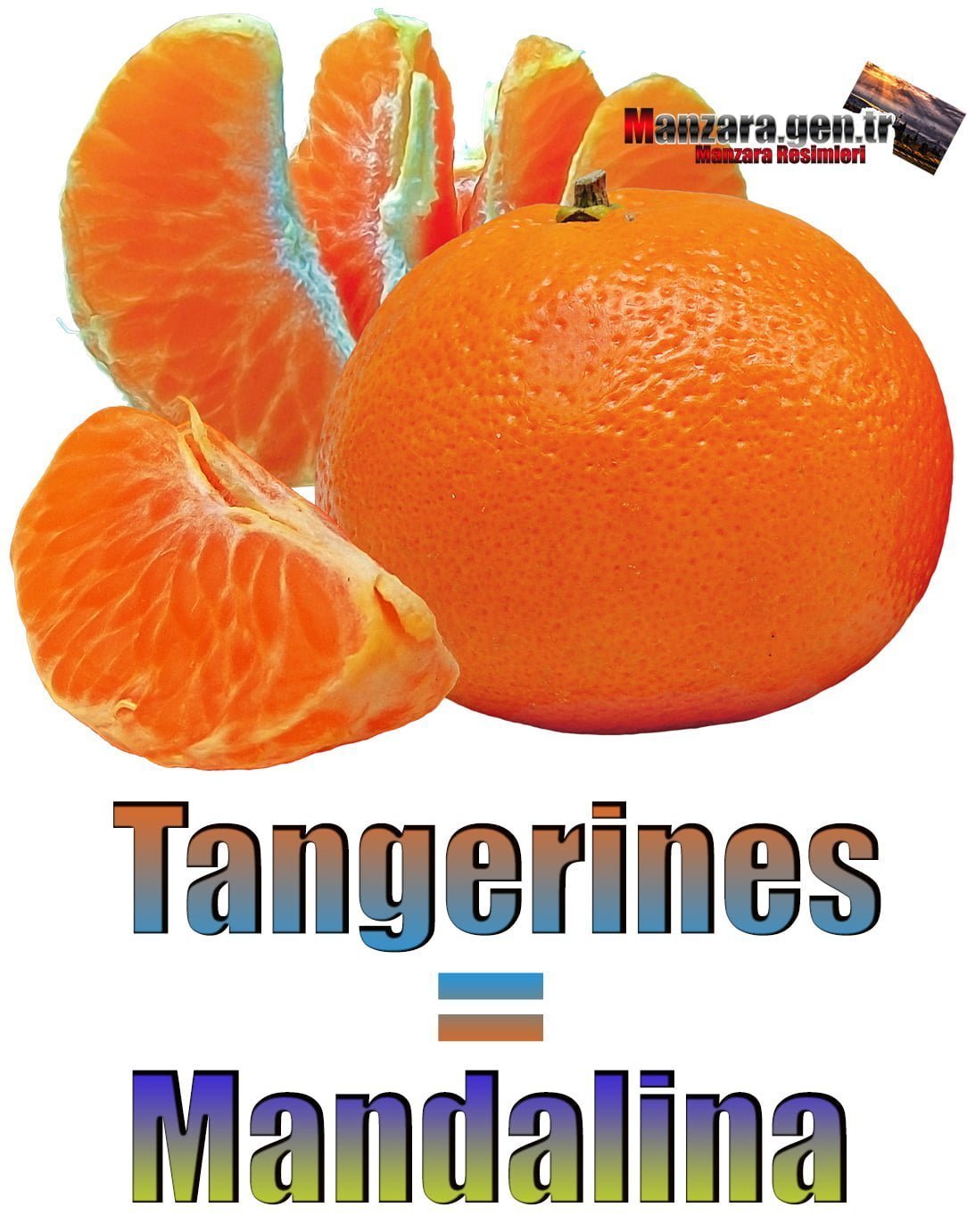 Mandalinanın İngilizcesi (Tangerines)
