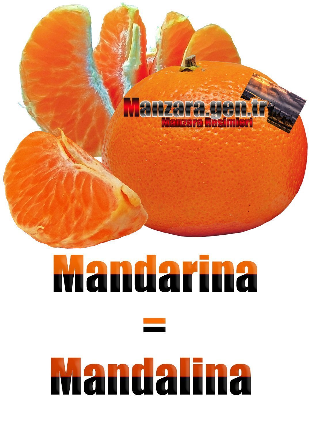 Mandalinanın İspanyolcası (Mandarina)