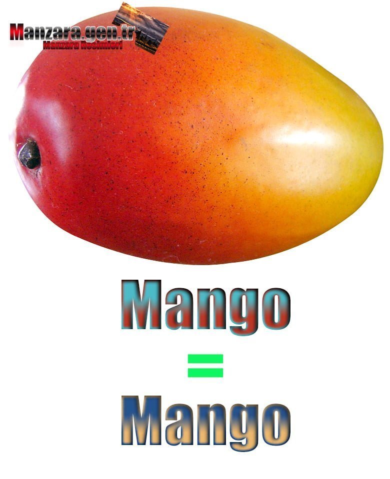 Mango İngilizcesi (Mango)
