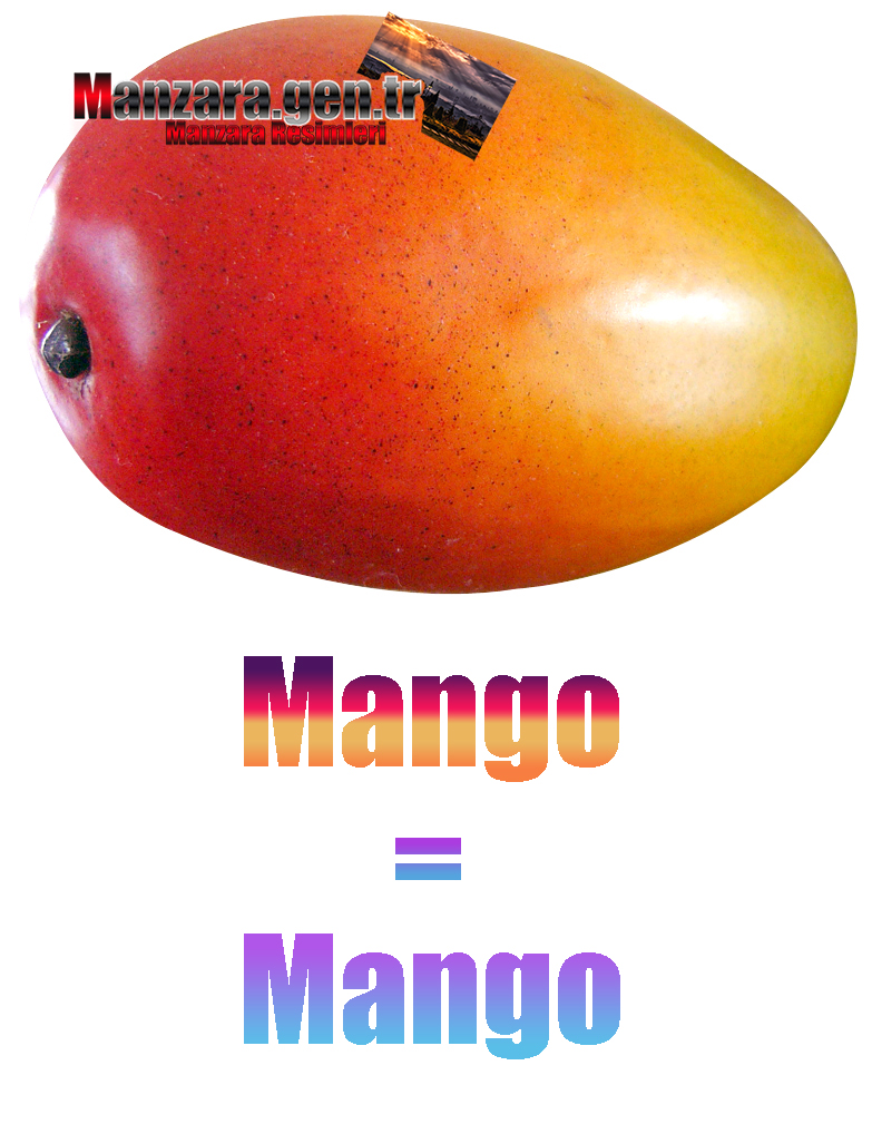 Almanca Meyve İsimleri - Mangonun Almancası Nedir ? Mango Almanca Nasıl Yazılır ? Was ist Mango Türkisch? Wie schreibe ich Mango auf Türkisch?