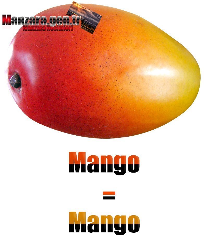 İspanyolca Meyve İsimleri - Mangonun İspanyolcası (Mango)