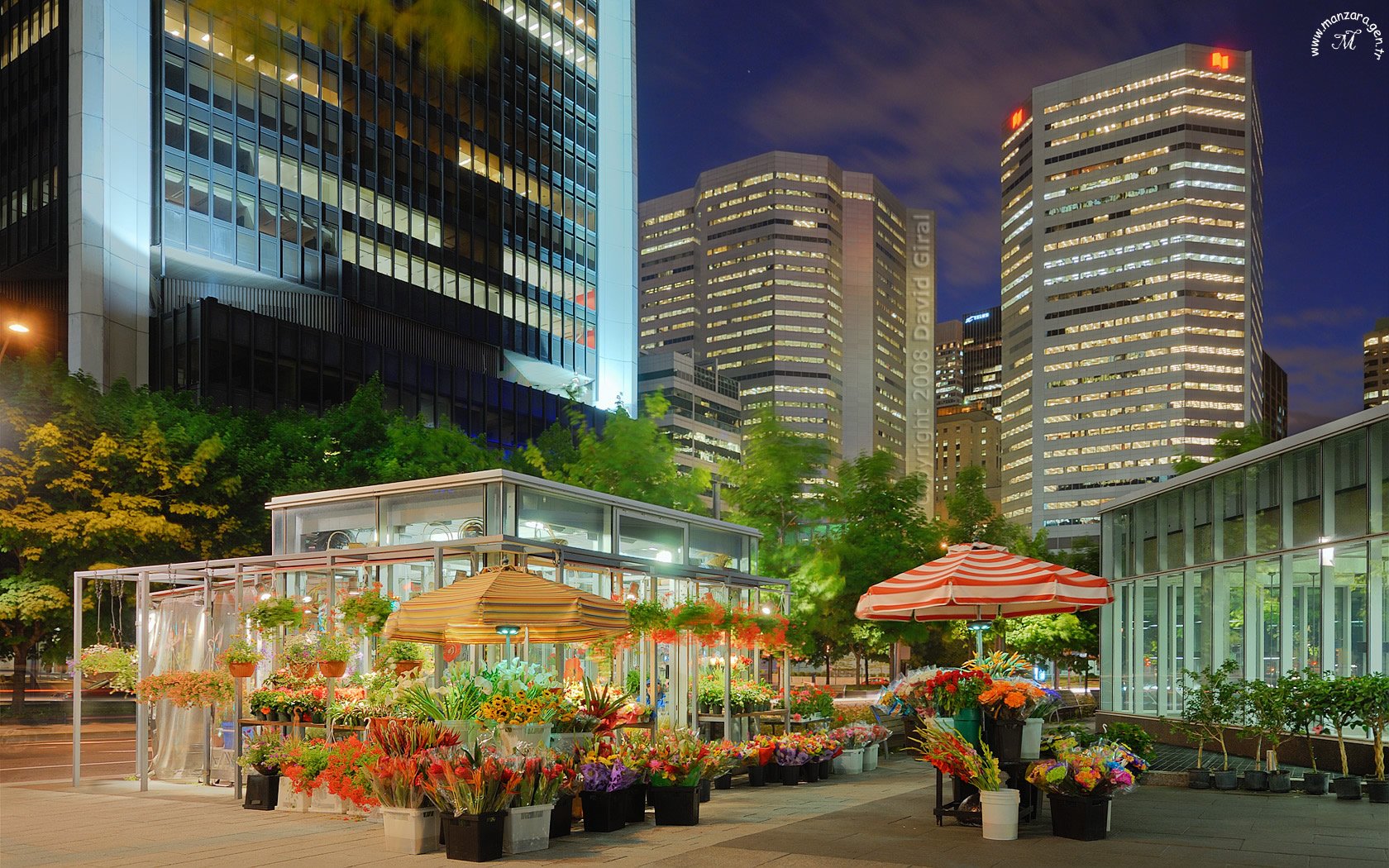 Montreal Resimleri - 2