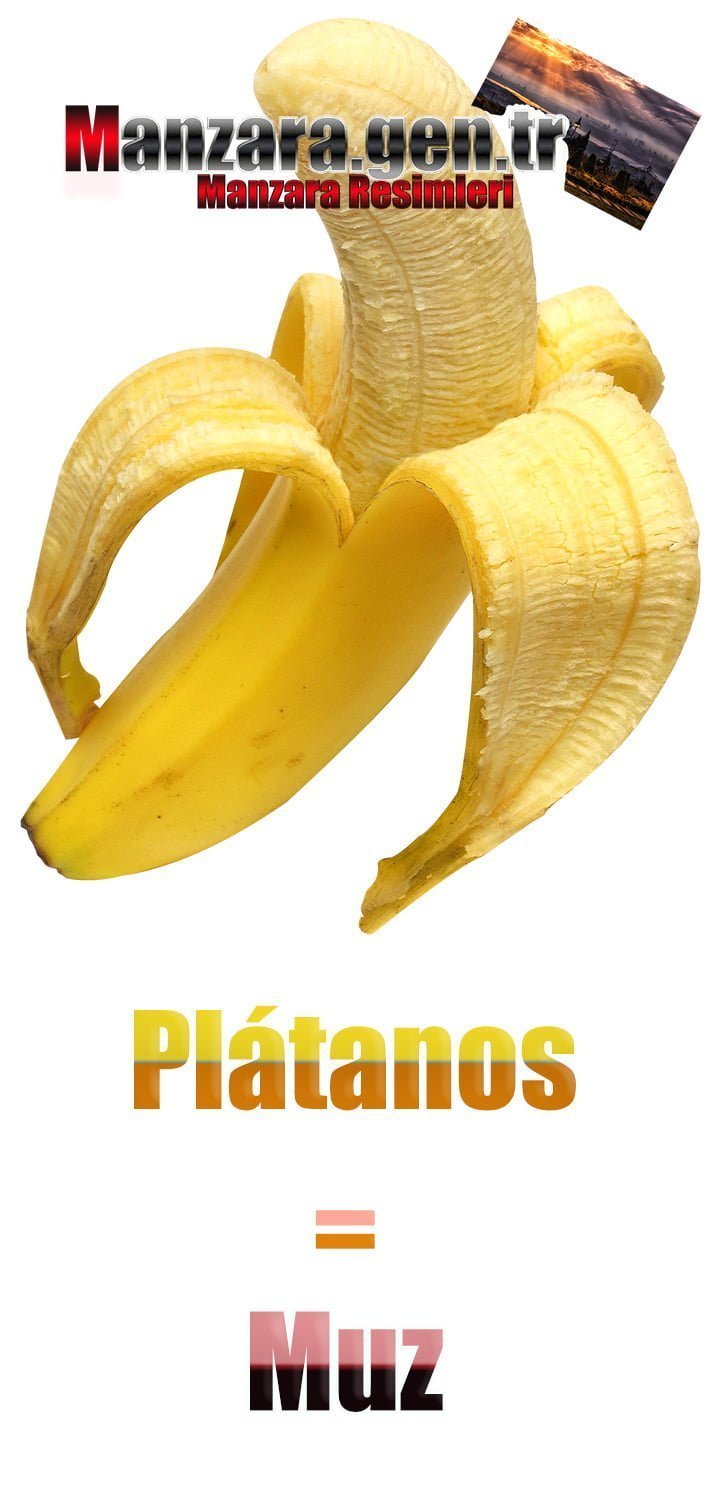 Muzun İspanyolcası (Plátanos)