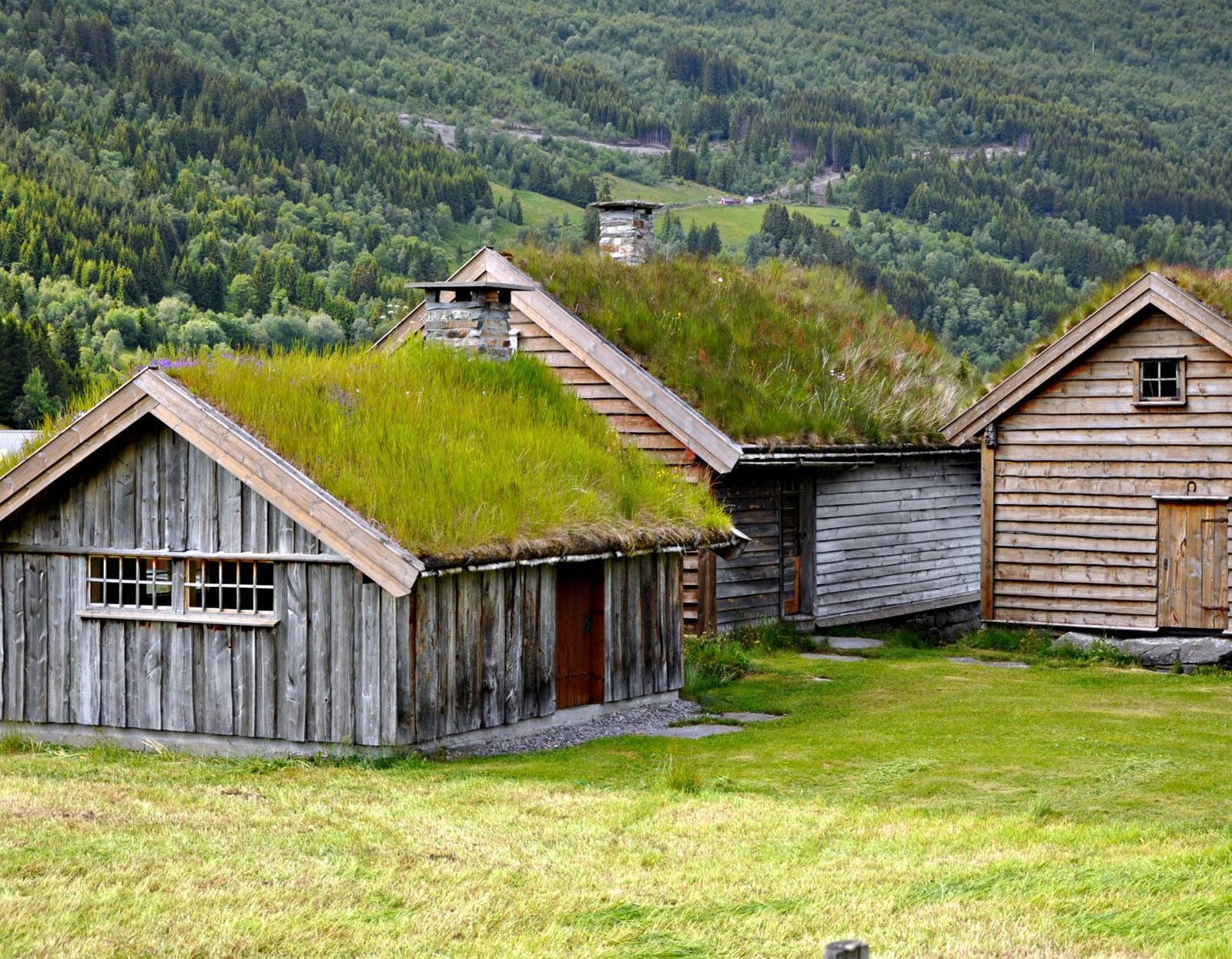 Norveç Resimleri - 7