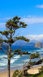Oregon Manzarası iPhone 6 Plus
