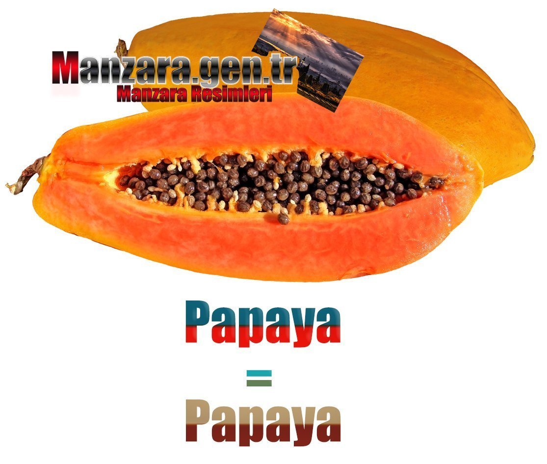 İspanyolca Meyve İsimleri - Papayanın İspanyolcası (Papaya)
