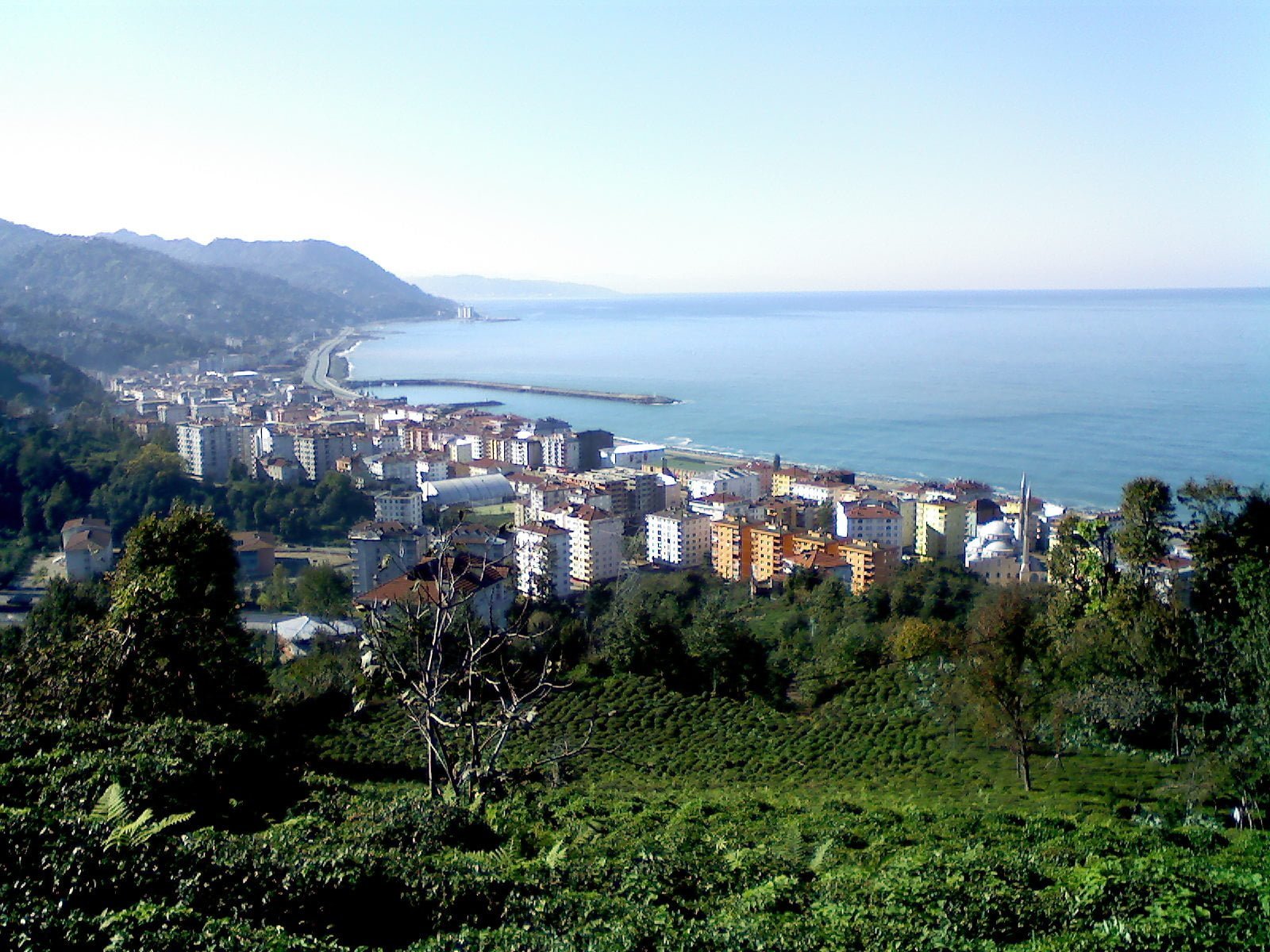 Rize çayeli manzarası