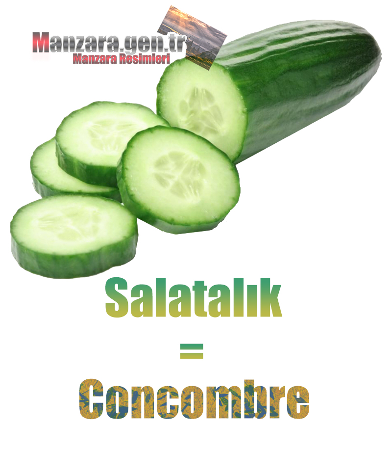 Fransızca Meyve İsimleri - Salatalığın Fransızcası Nedir ? Salatalık Fransızca Nasıl Yazılır ? Quel est le turc de concombre ? Comment écrire la concombre en turc?
