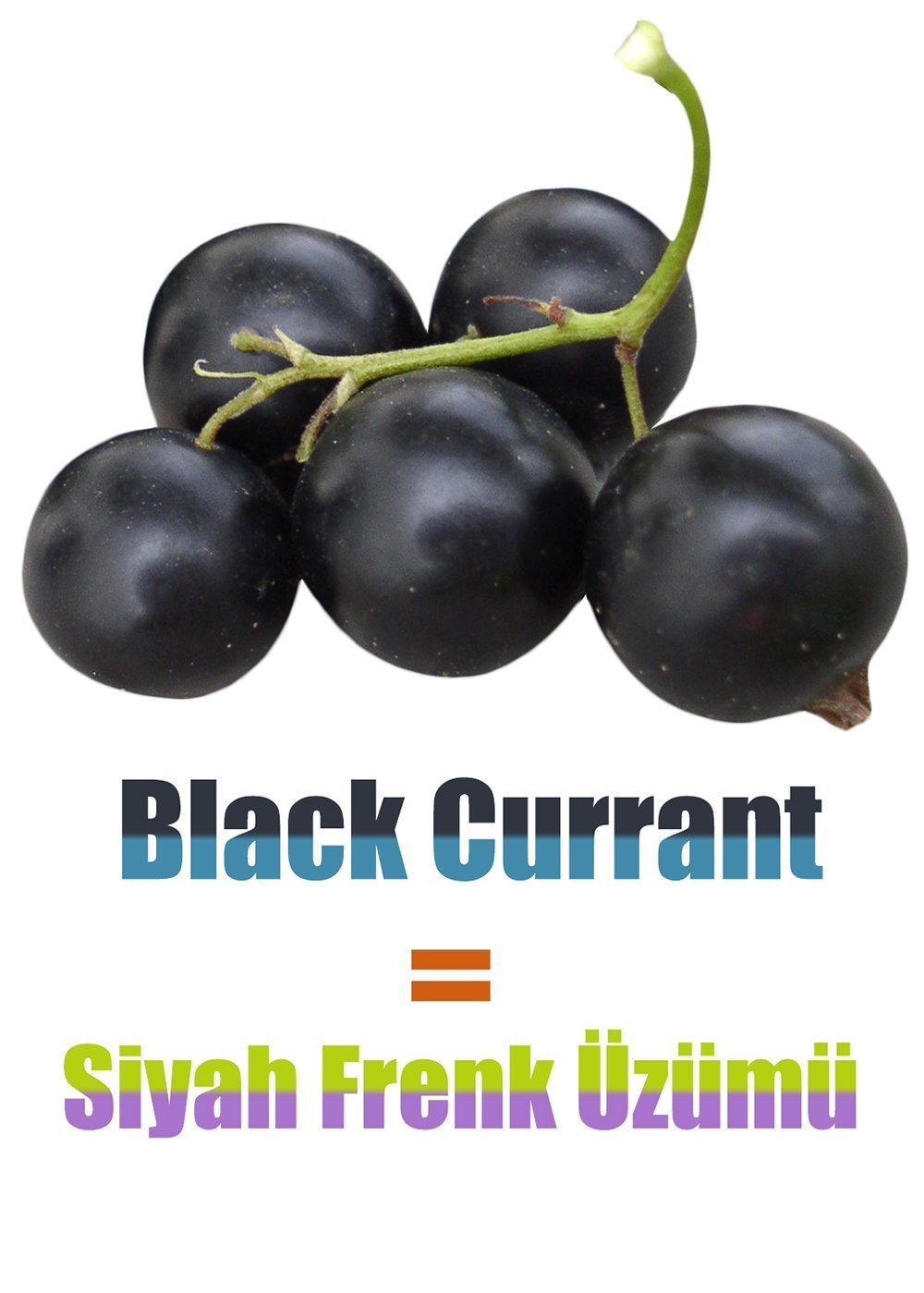 İngilizce Meyve İsimleri - Siyah Frenk Üzümü İngilizcesi (Black Currant)