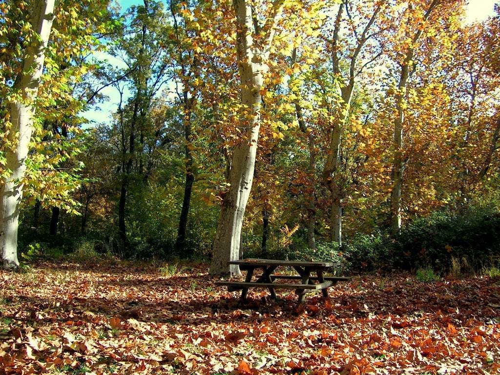Sonbahardan Güzel Manzaralar - Sonbahar ve Piknik Masası