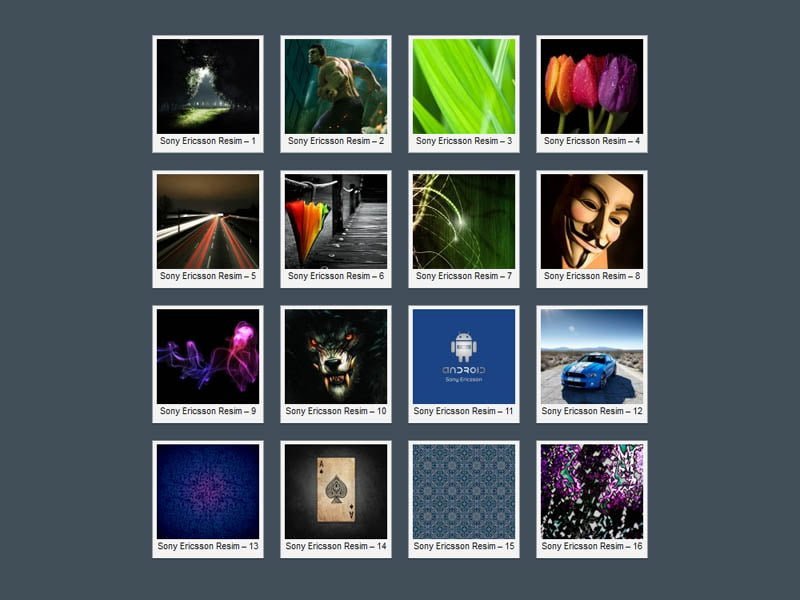 Sony Ericsson Wallpapers - 16