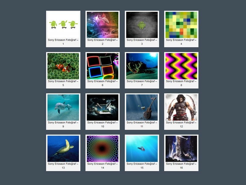 Sony Ericsson Wallpapers - 21