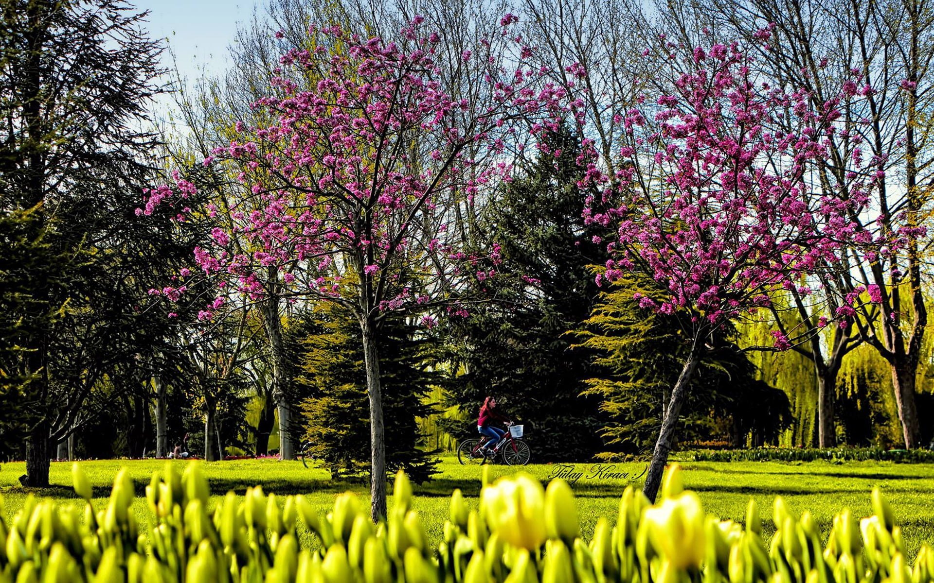 Soğanlı Botanik Parkı Manzarası