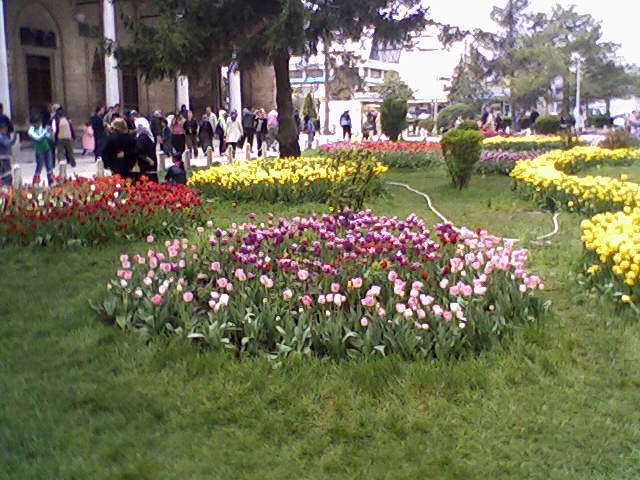 Sultan selim camii avlusu