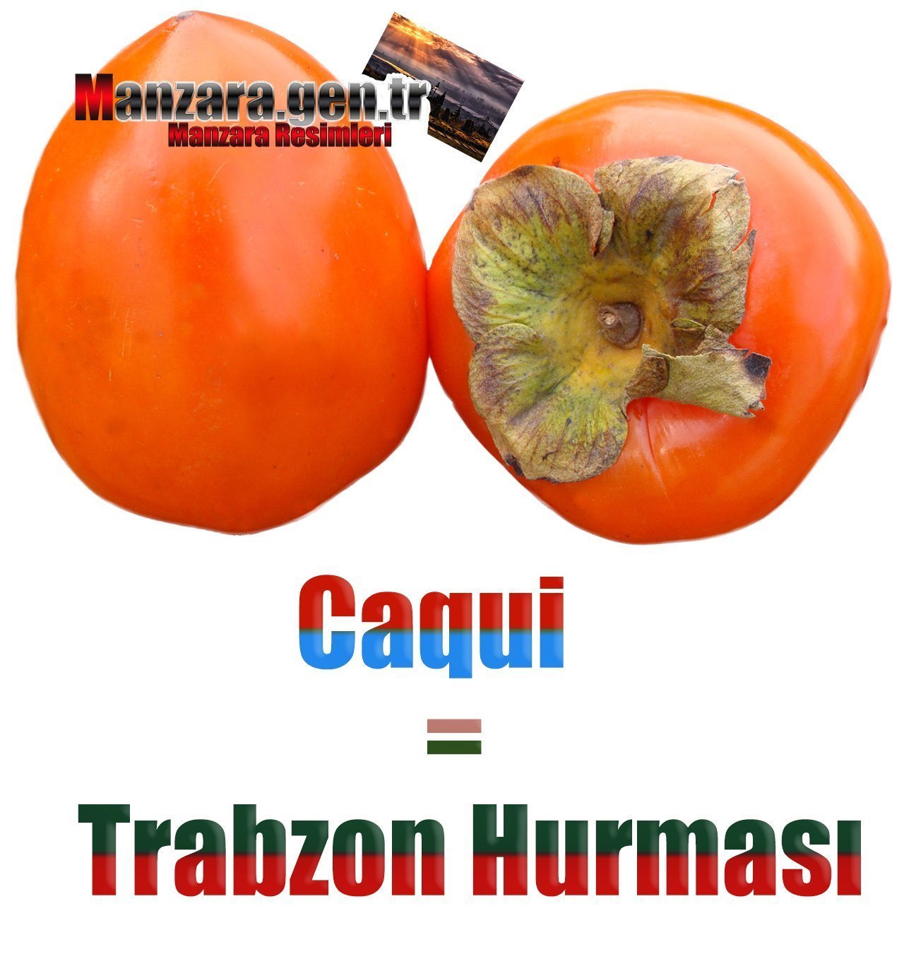 İspanyolca Meyve İsimleri - Trabzon Hurması İspanyolcası (Caqui)