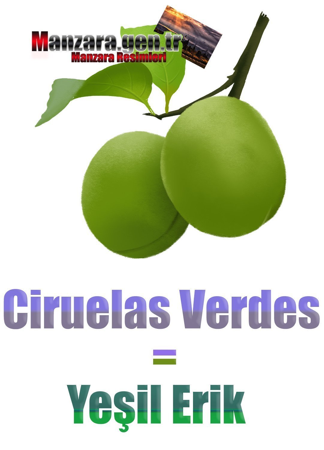 Yeşil Eriğin İspanyolcası (Ciruelas Verdes)