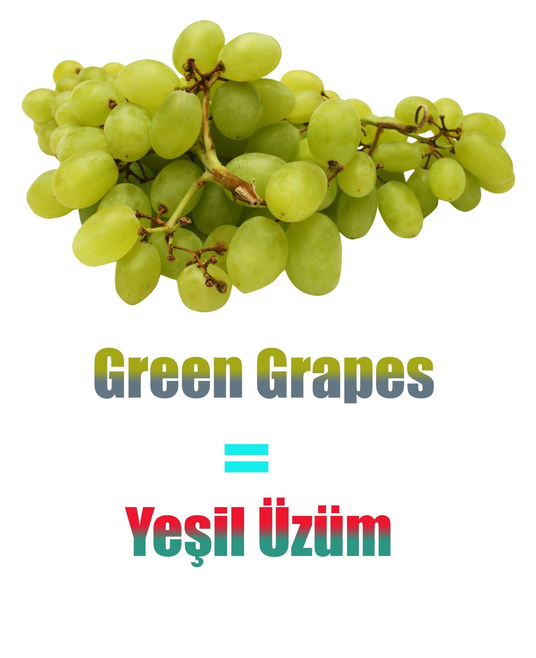 Yeşil Üzümün İngilizcesi (Green Grapes)