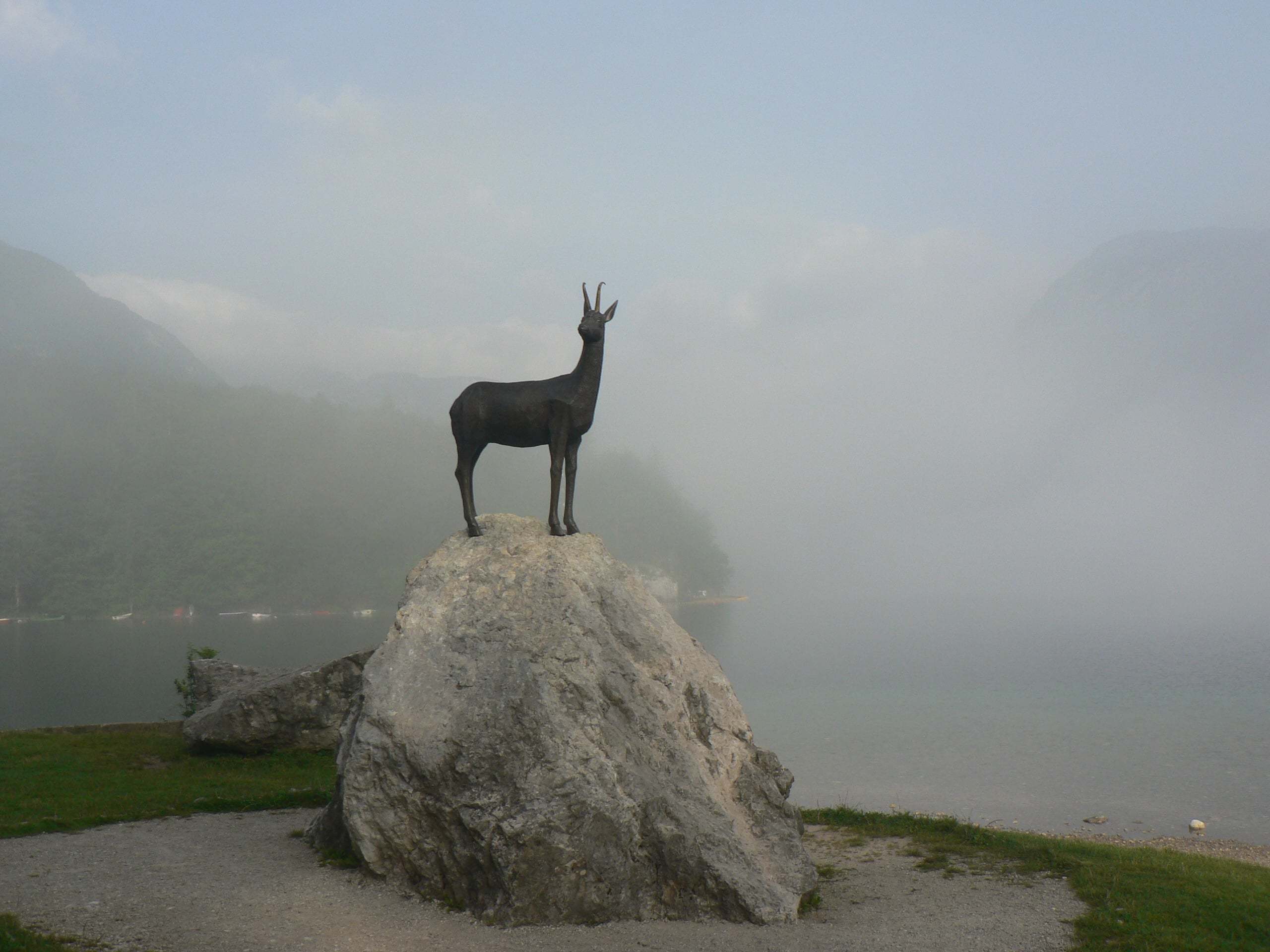 Zlatorog_Rib-Dev_Laz